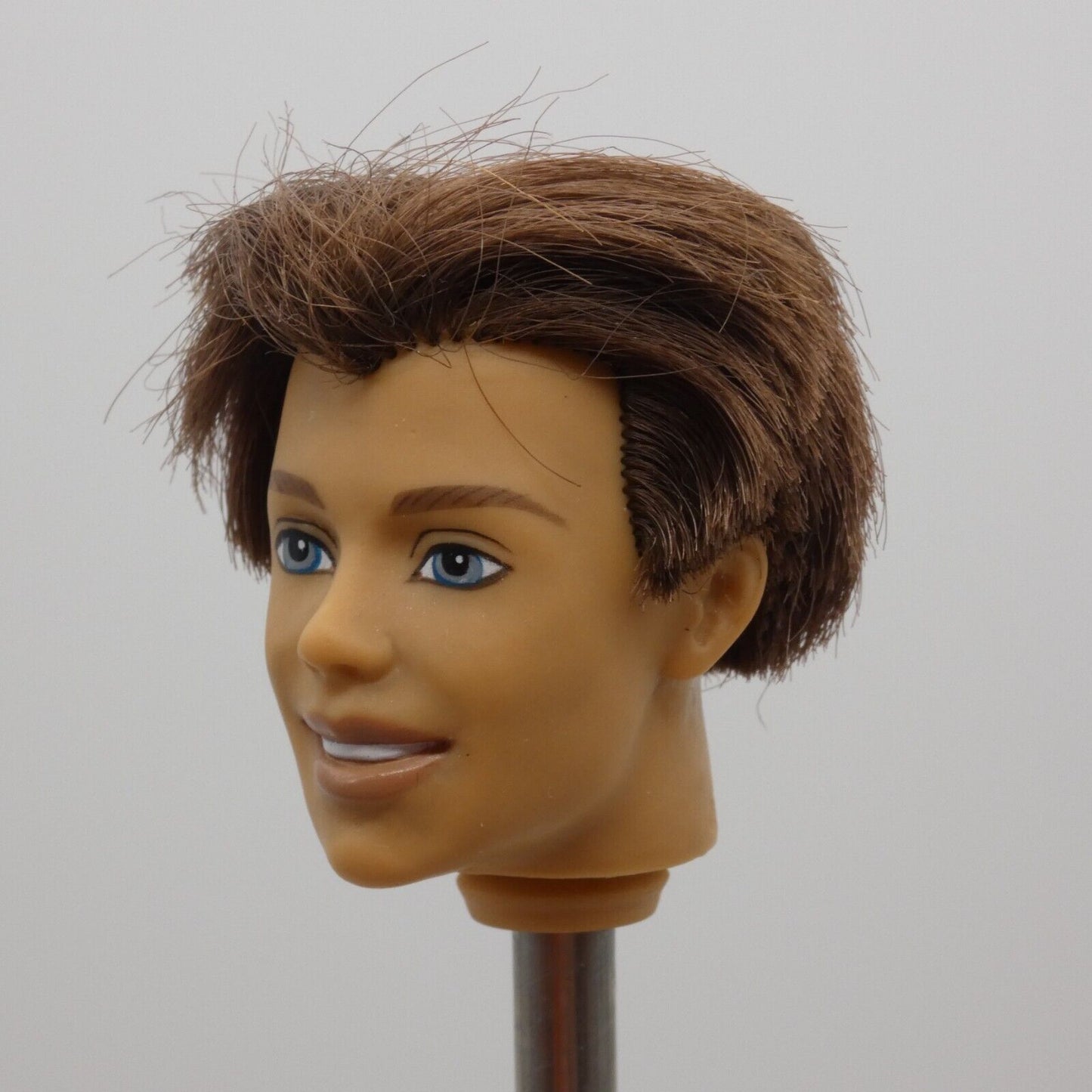 Barbie Magic of Pegasus Prince Aidan Ken Doll Head Rooted Brown Hair G8403 2005