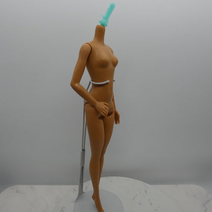 Barbie Careers Pop Star Doll Body Medium Skin Tone Bent Arm 2019 Mattel FXN98