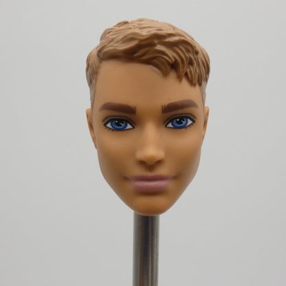 Barbie Dolphin Magic Ken Doll Head Brown Hair Blue Eyes 2017 Mattel FBD71