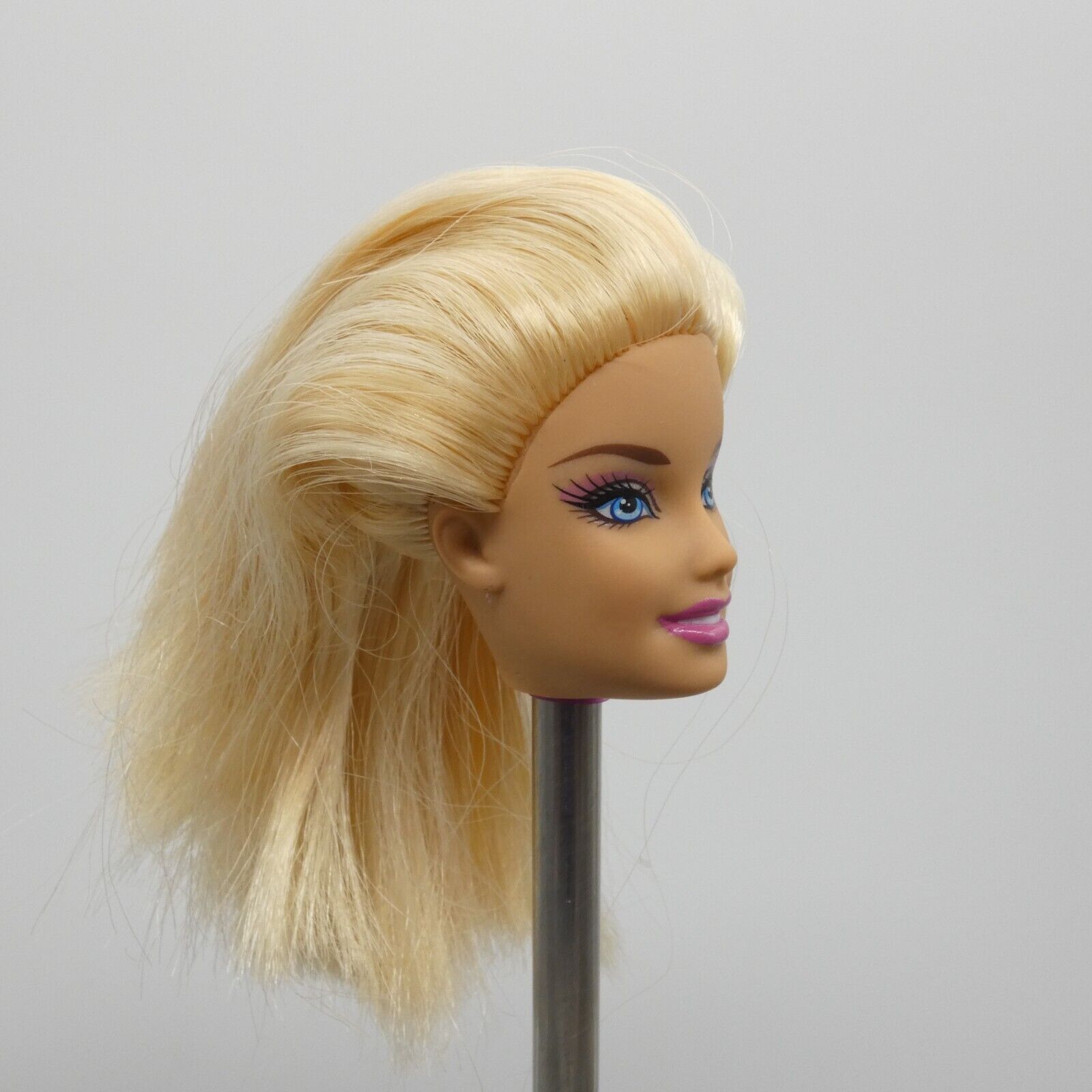 Barbie Doll Head Generation Girl CEO Face 2011 Puppy Water Play X4460