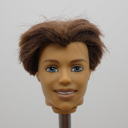 Barbie Magic of Pegasus Prince Aidan Ken Doll Head Rooted Brown Hair G8403 2005