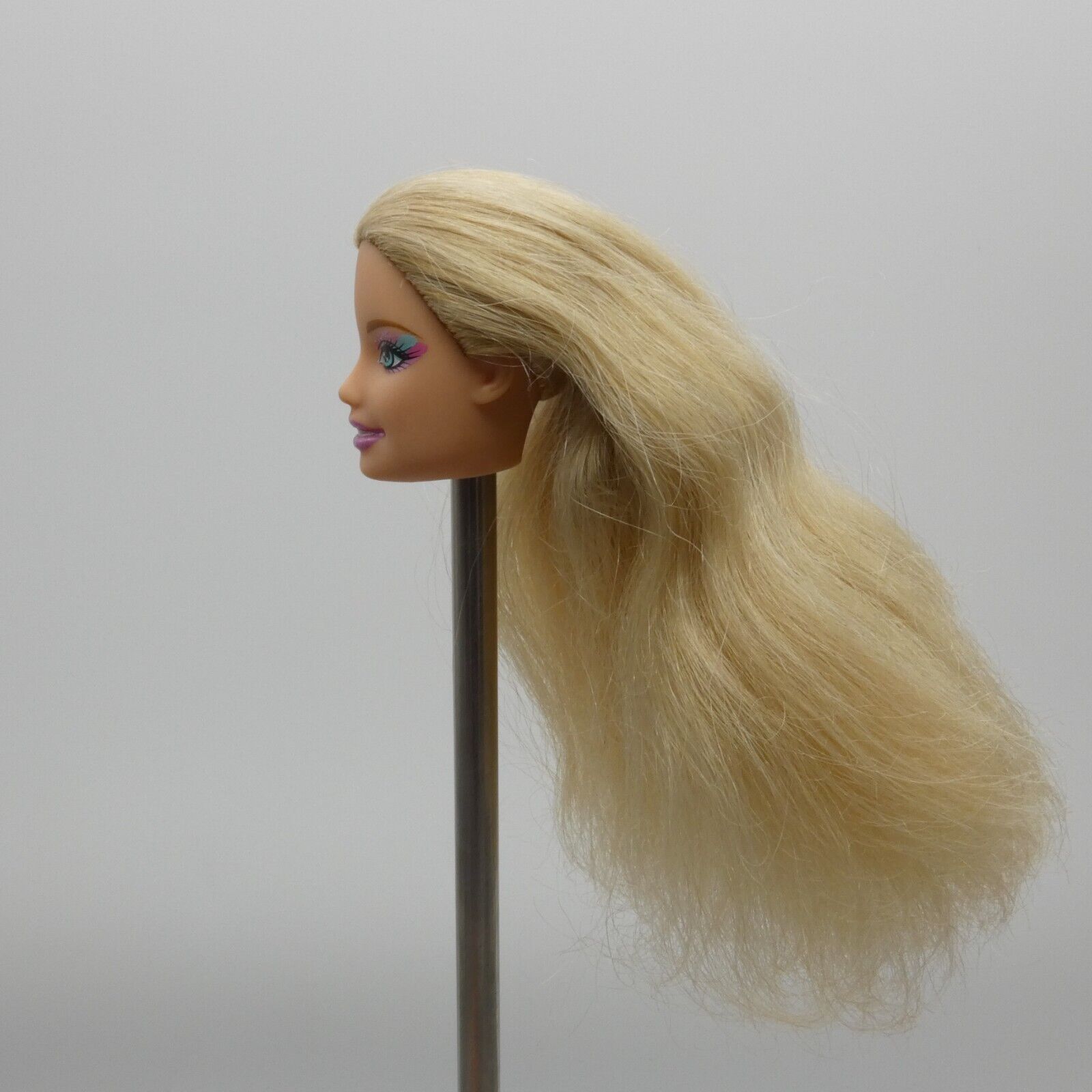 Barbie Fairy tastic Princess Doll Head Generation Girl CEO Face 2009 P6563