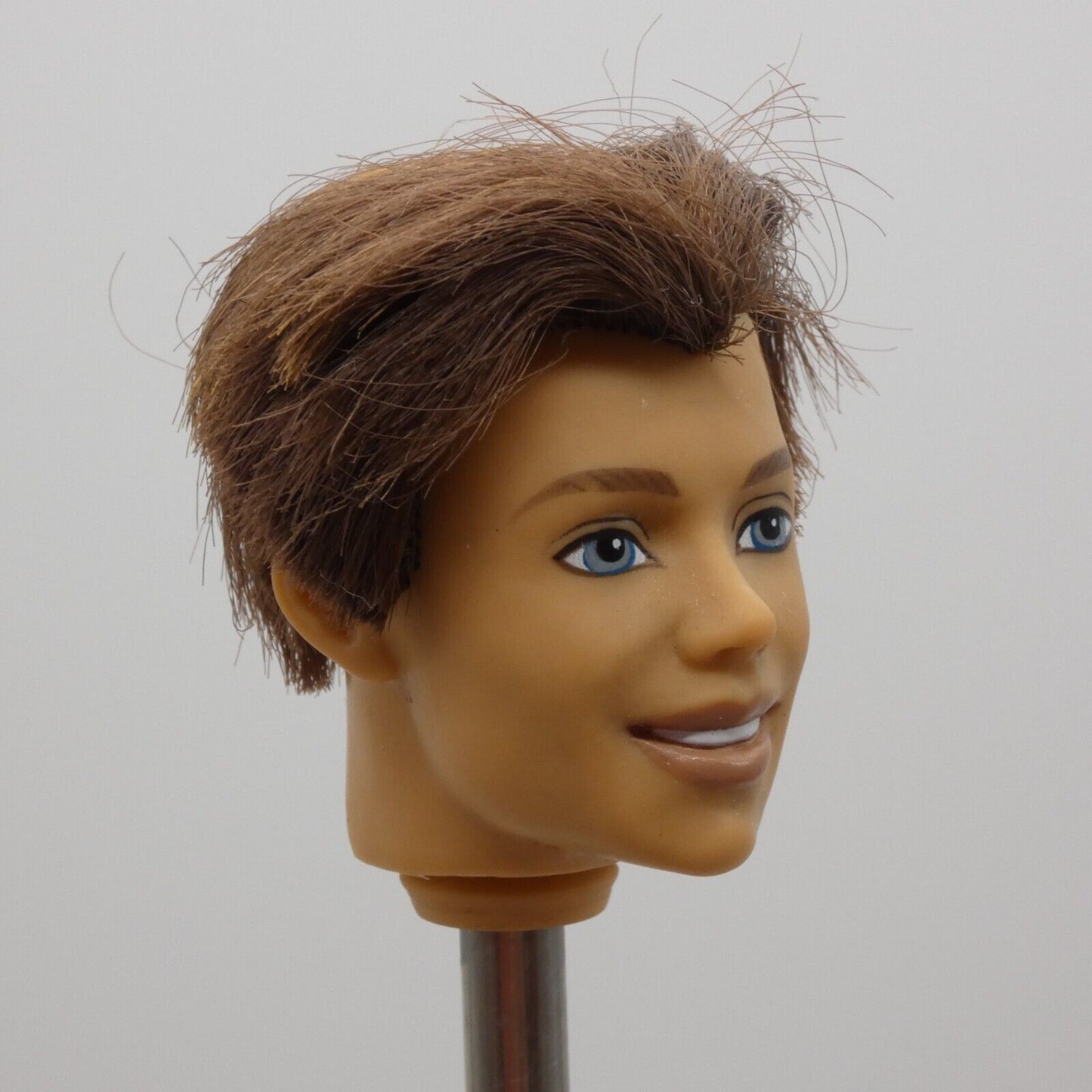 Barbie Magic of Pegasus Prince Aidan Ken Doll Head Rooted Brown Hair G8403 2005