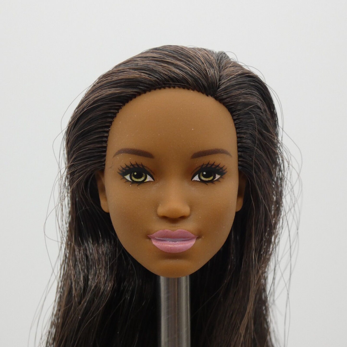 Barbie Sweet Orchard Farm Doll AA Head Kim Face Medium Dark Skin 2019 GFY80