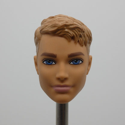 Barbie Dolphin Magic Ken Doll Head Medium Light Skin 2018 Mattel FWV15