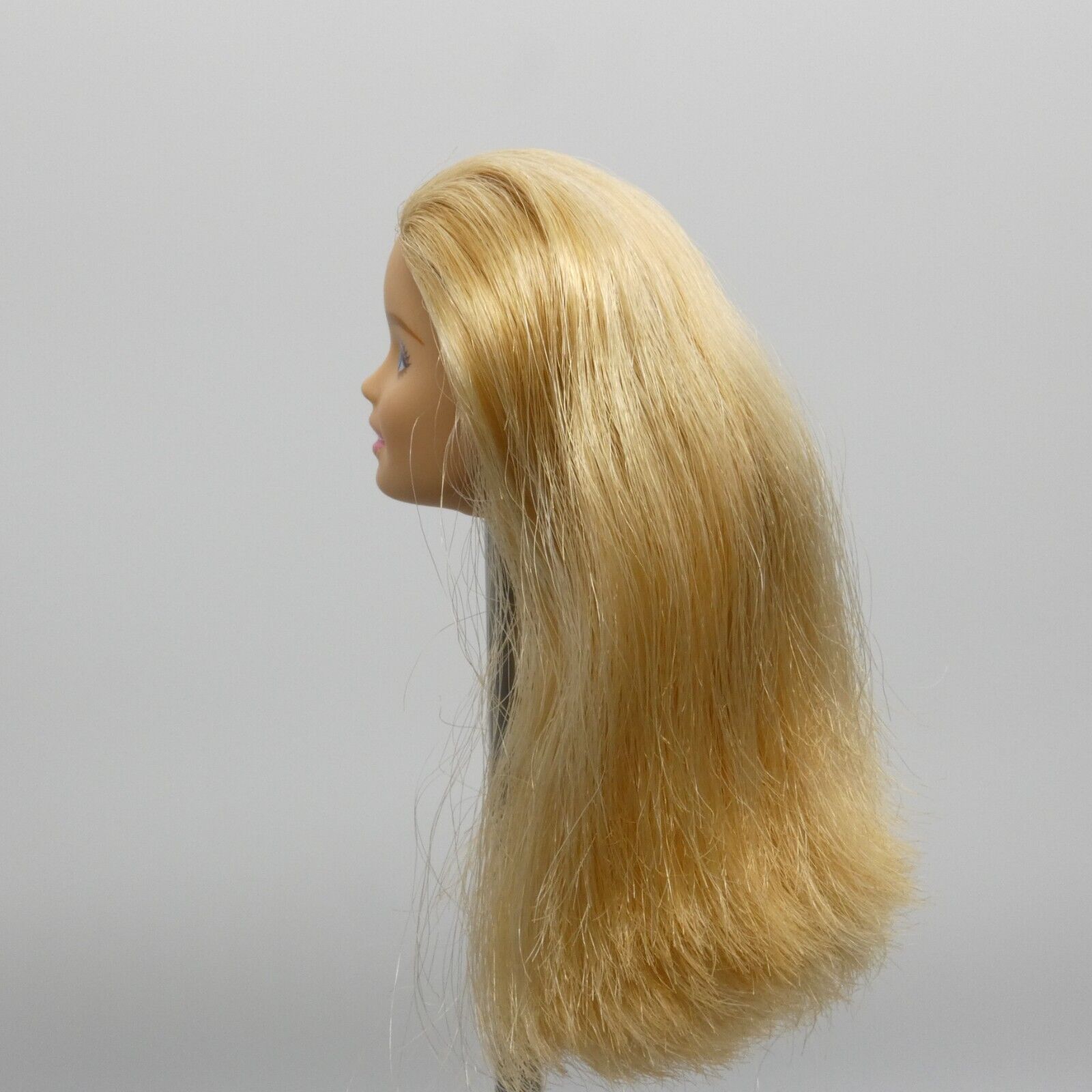 Barbie Beach Doll Head Millie Face Straight Hair Ponytail 2015 Mattel CFF12 B2