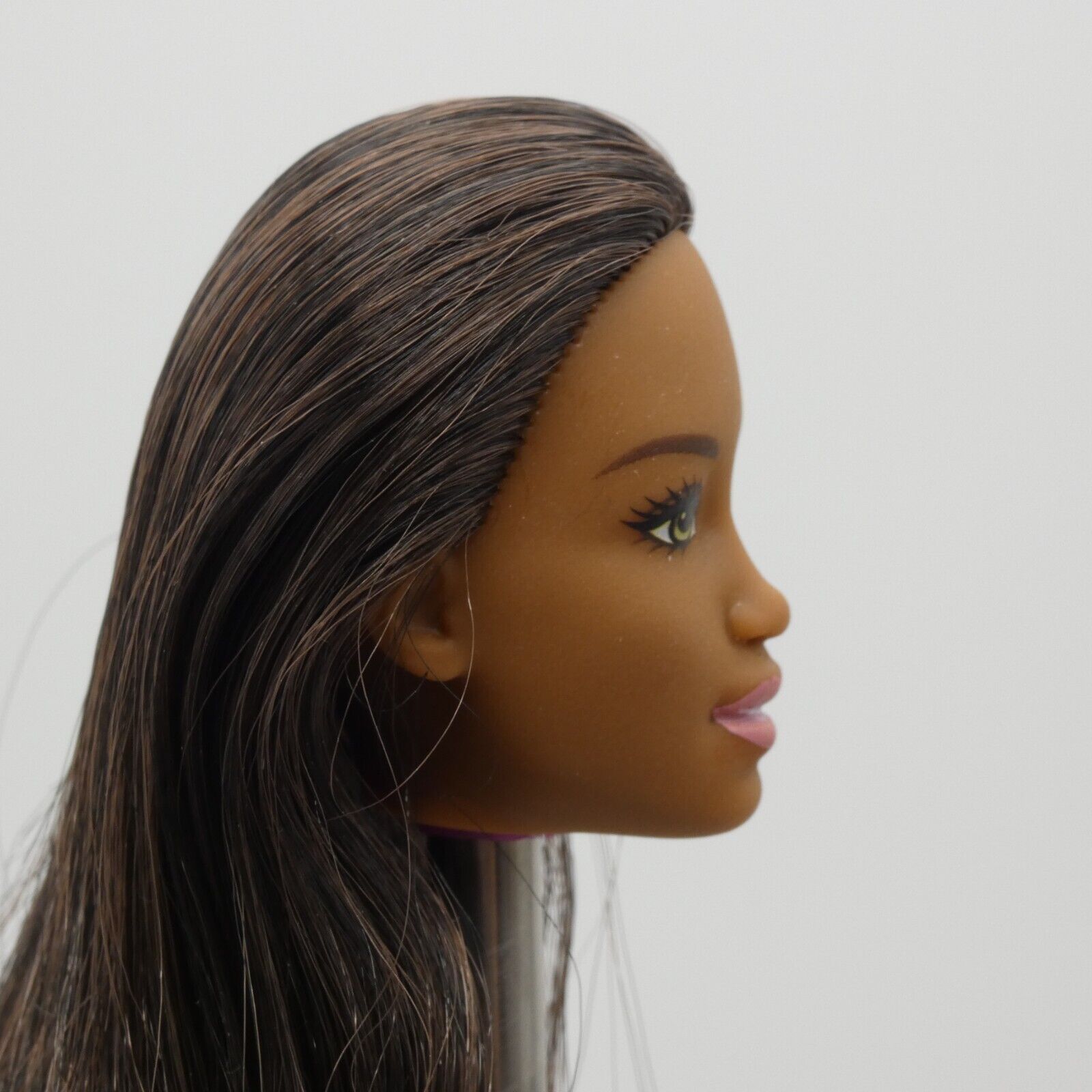 Barbie Sweet Orchard Farm Doll AA Head Kim Face Medium Dark Skin 2019 GFY80