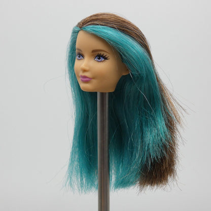 Barbie Closed Mouth Skipper Doll Head Brown Blue Hair Puppy Chase 2016 DMB27