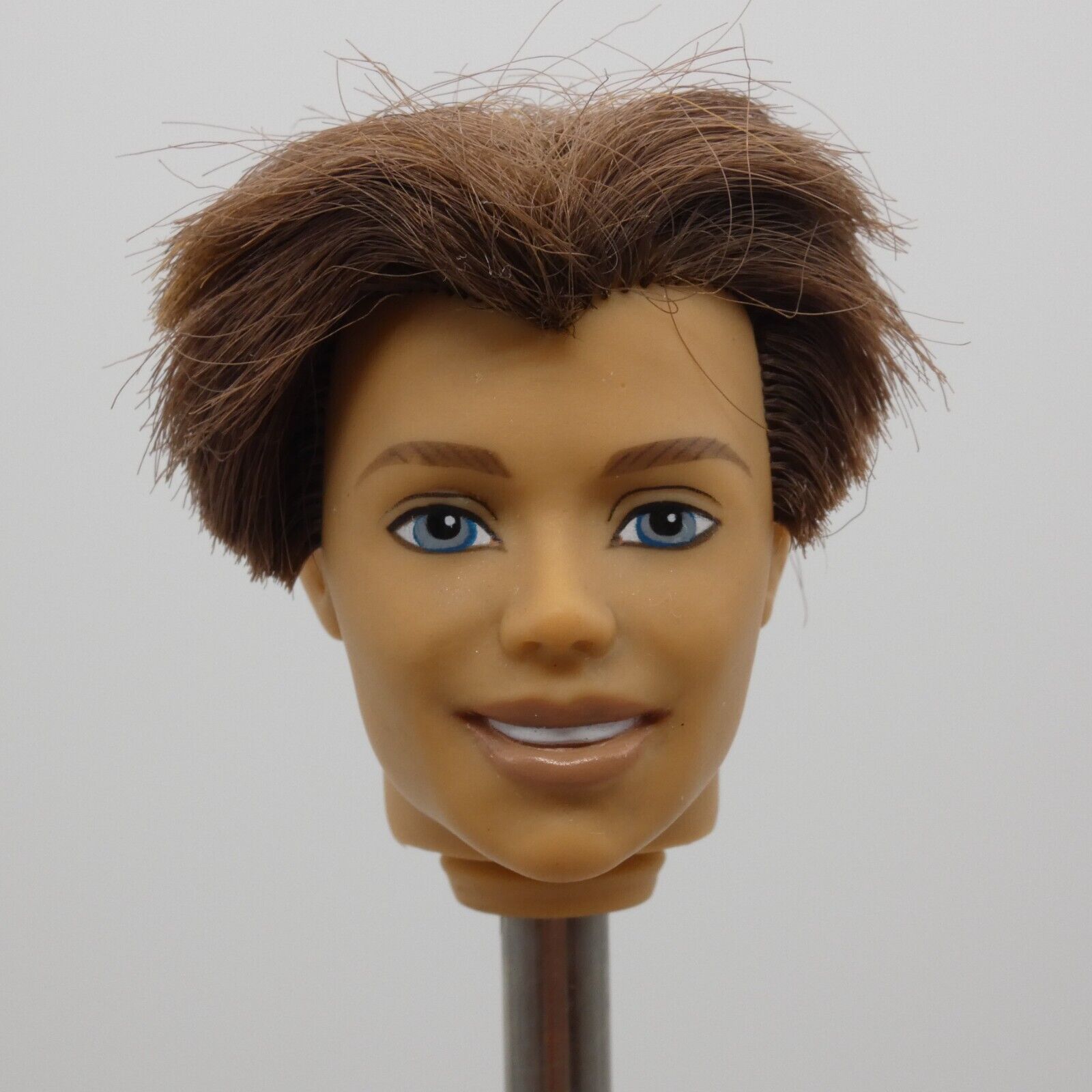 Barbie Magic of Pegasus Prince Aidan Ken Doll Head Rooted Brown Hair G8403 2005