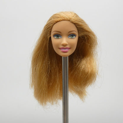 Barbie Doll Head Summer Face Medium Light Skin Red Hair Green Eyes Fashionistas