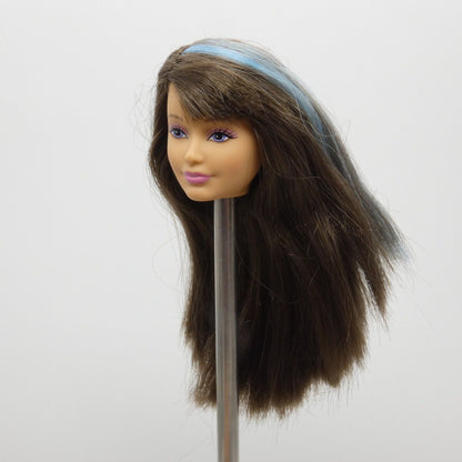 Barbie Dreamhouse Skipper Doll Head Brown Blue Hair Closed Mouth 2012 W3283