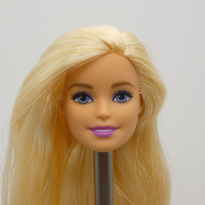 Barbie Glitter Hair Doll Head Nikki Face AA Medium Light Brown Skin 2015 CLG19