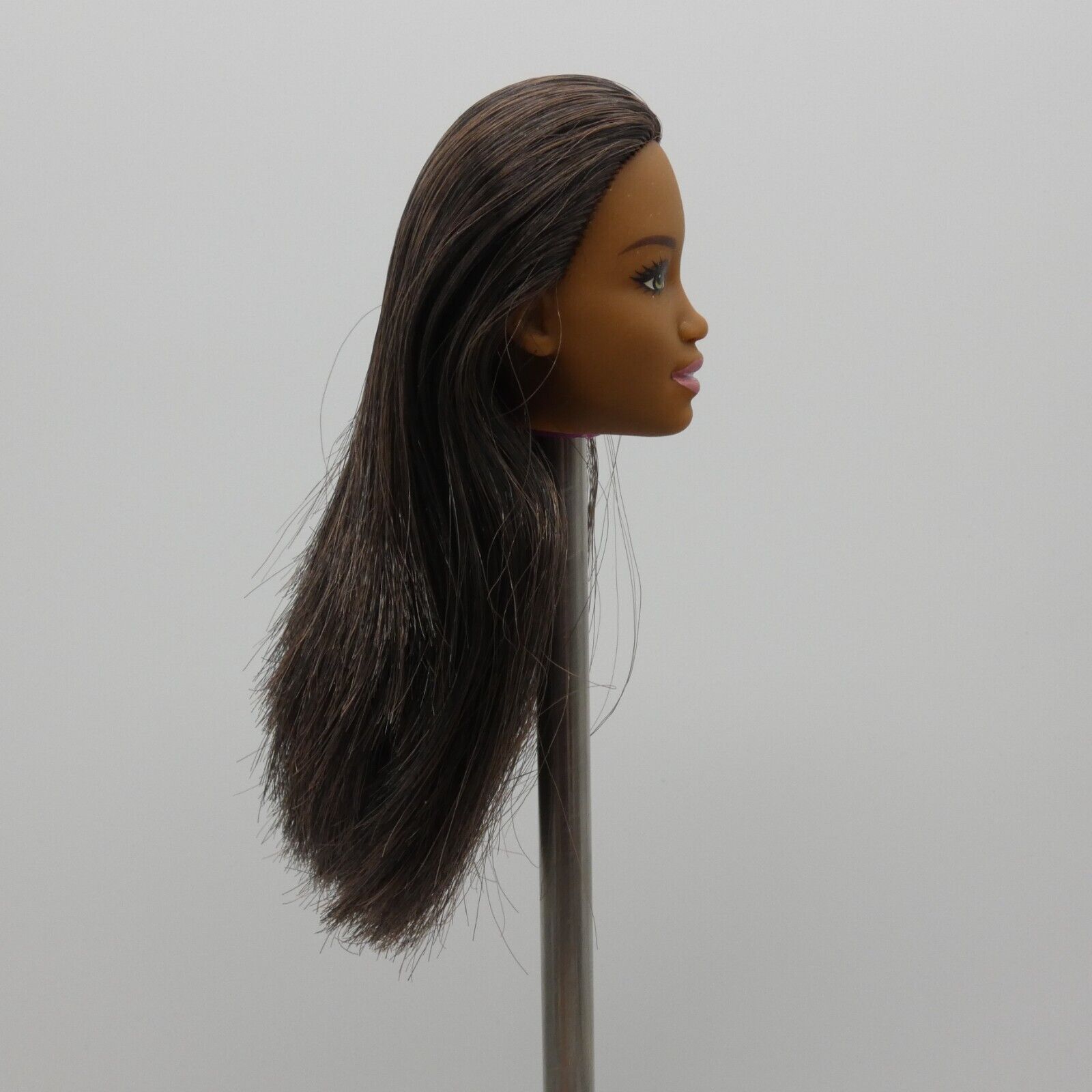 Barbie Sweet Orchard Farm Doll AA Head Kim Face Medium Dark Skin 2019 GFY80