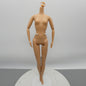 Barbie 12 Dancing Princesses Genevieve Gets Married Doll Body Nude Articulated