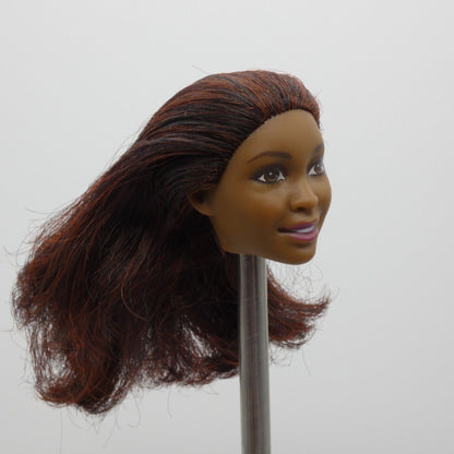 Barbie Fashionistas 45 Doll Head Desiree Nikki Face Brown Red Hair 2016 DTF08