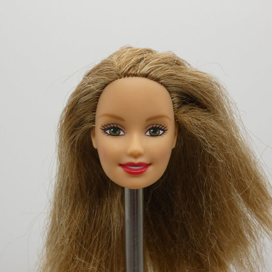 Barbie Doll Head Generation Girl Face Fashion Fever Brown Hair Green Eyes