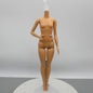 Barbie Fashionistas 81 Doll Body Medium Light Skin Bent Right Arm 2018 FJF46