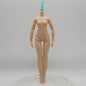 Barbie Dream Besties Renee Doll Body Tall Light Pearl Skin Articulated HYC24