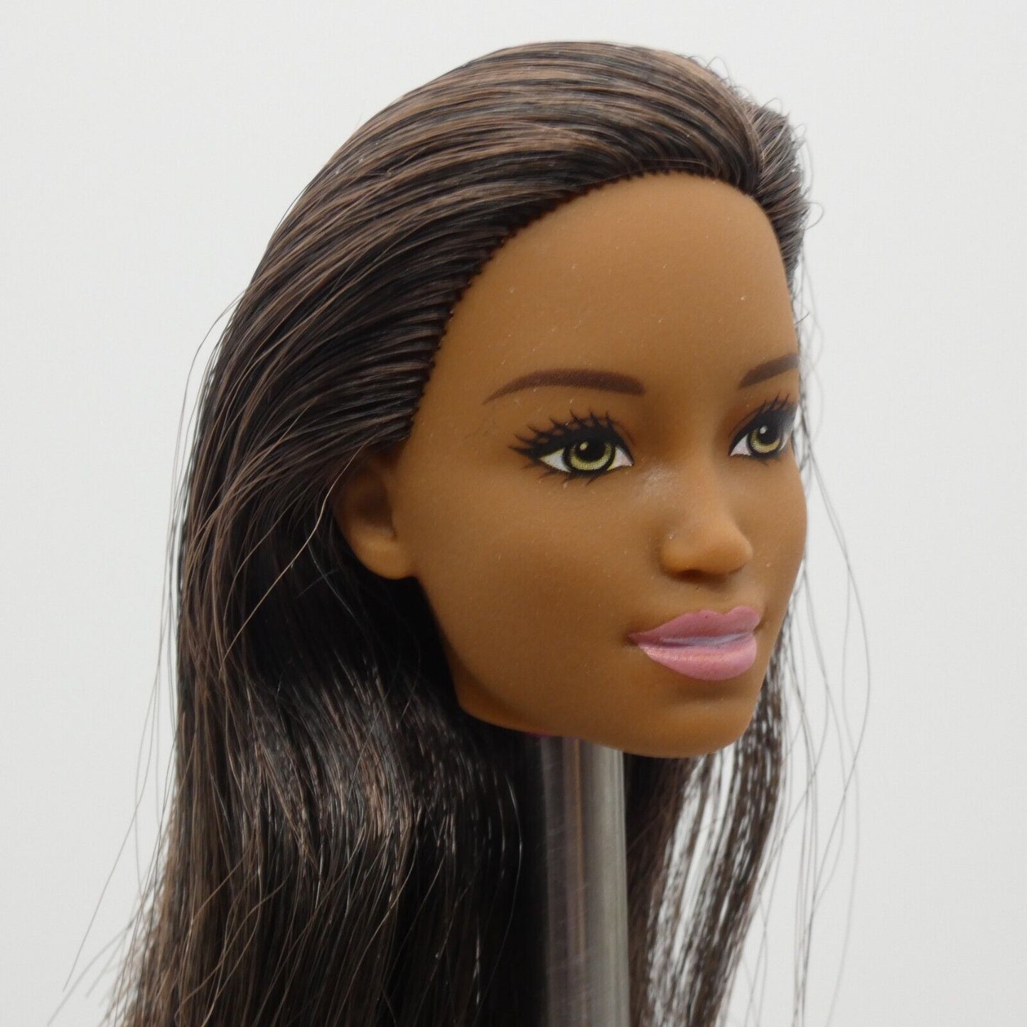 Barbie Sweet Orchard Farm Doll AA Head Kim Face Medium Dark Skin 2019 GFY80