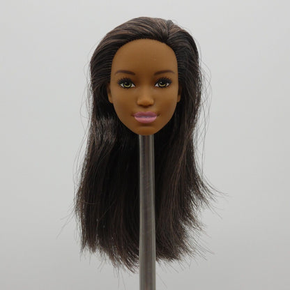 Barbie Sweet Orchard Farm Doll AA Head Kim Face Medium Dark Skin 2019 GFY80