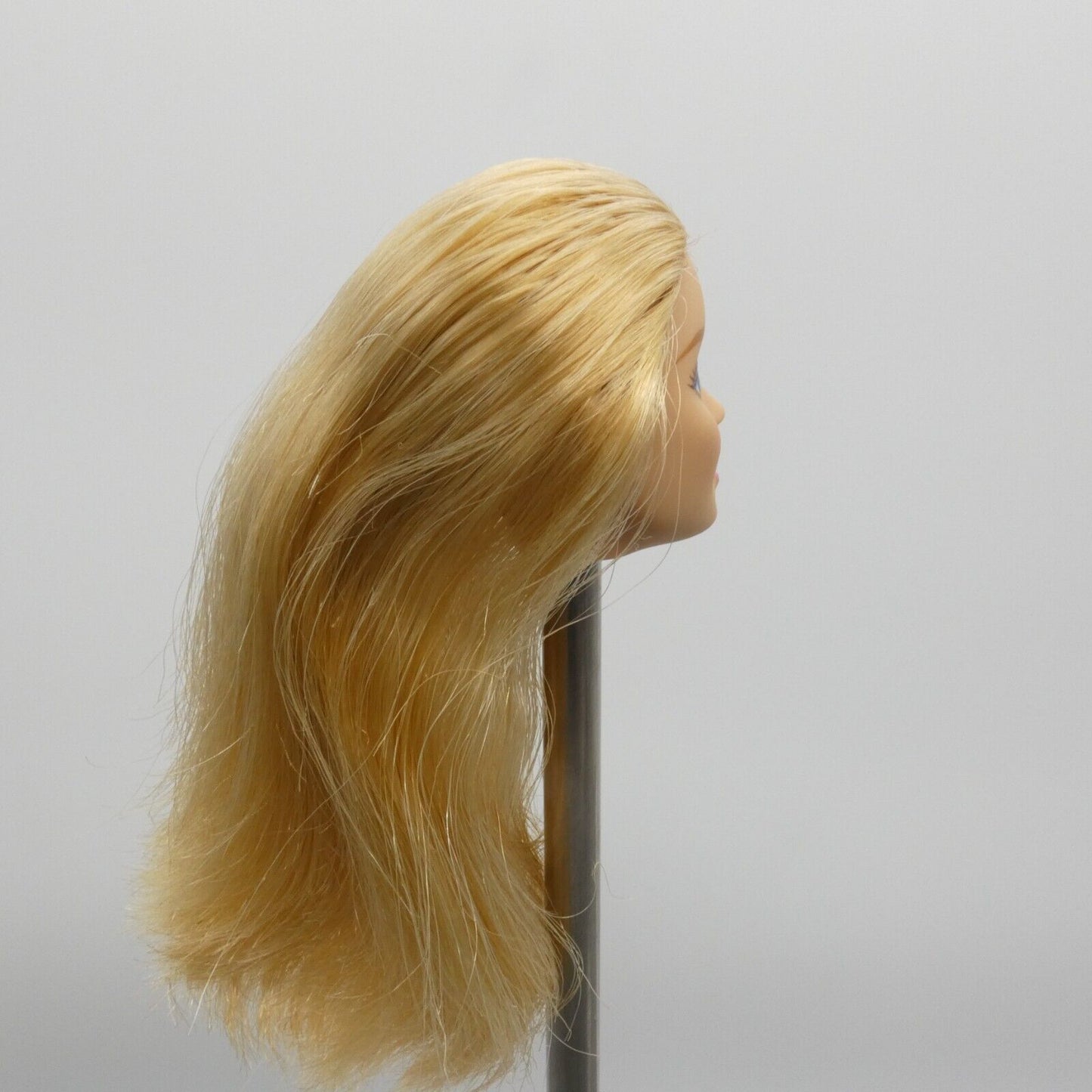 Barbie Beach Doll Head Millie Face Straight Hair Ponytail 2015 Mattel CFF12 B2