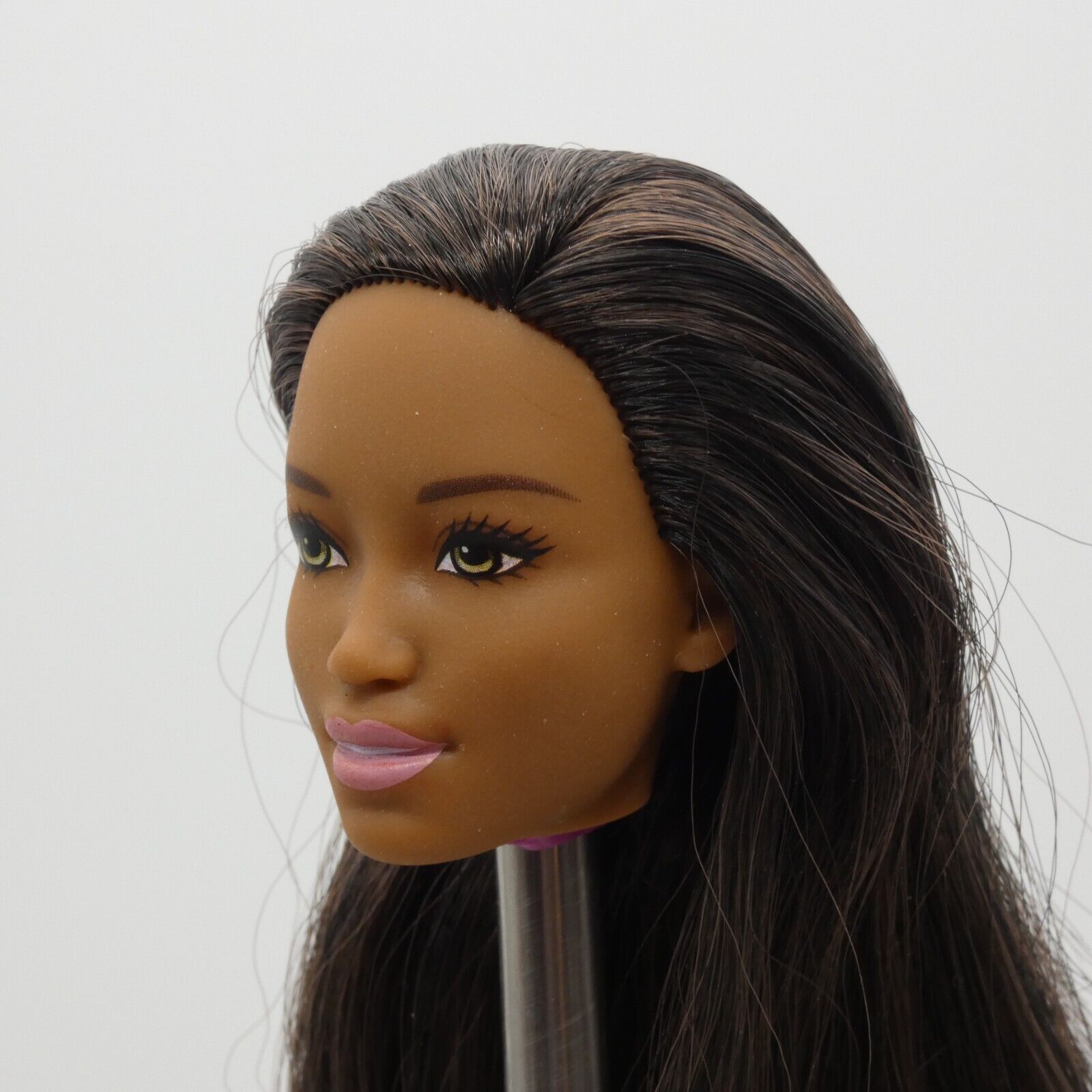 Barbie Sweet Orchard Farm Doll AA Head Kim Face Medium Dark Skin 2019 GFY80