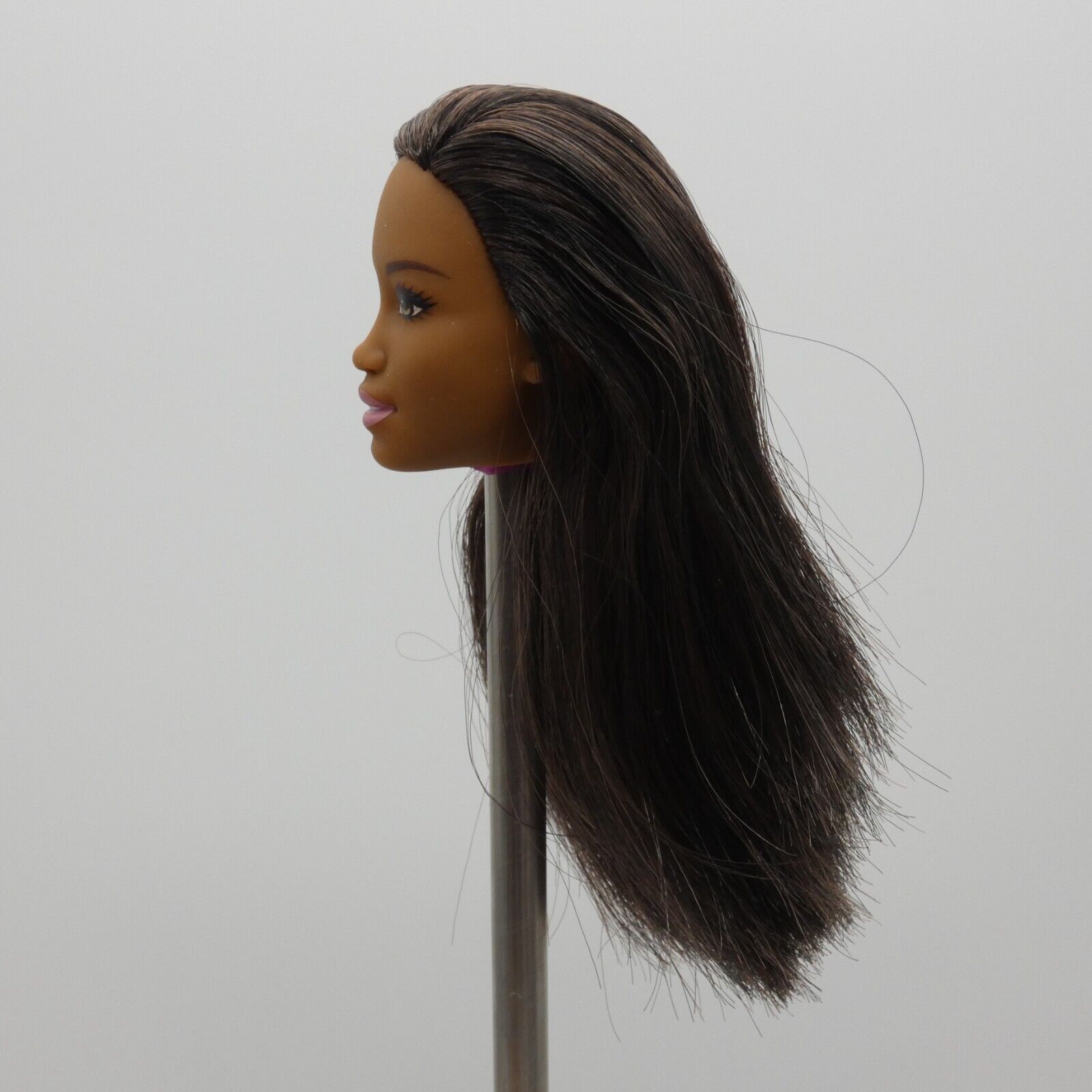 Barbie Sweet Orchard Farm Doll AA Head Kim Face Medium Dark Skin 2019 GFY80