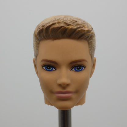 Barbie Pink Passport Ken Ryan Doll Head Molded Blonde Hair 2015 Mattel CCY12