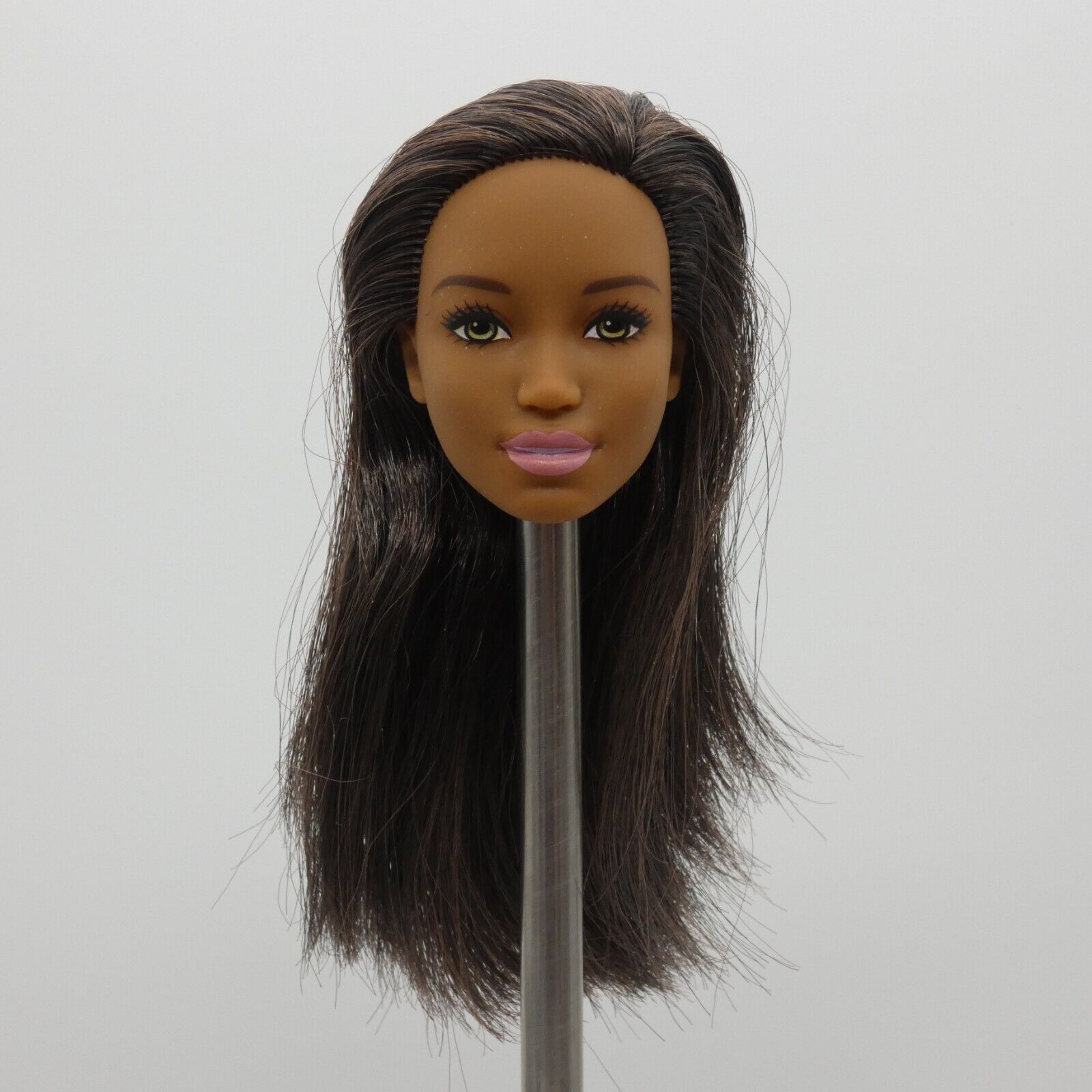 Barbie Sweet Orchard Farm Doll AA Head Kim Face Medium Dark Skin 2019 GFY80