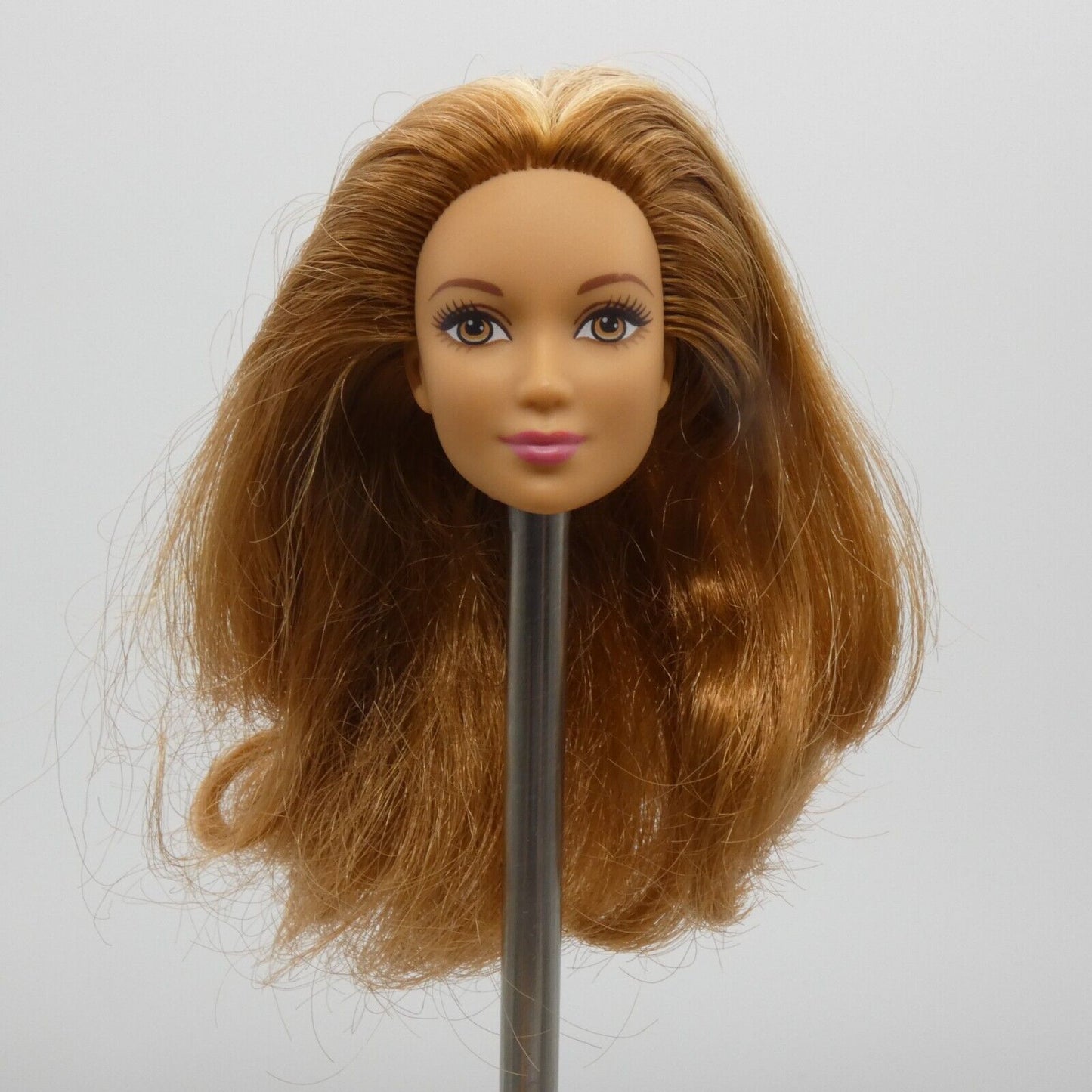 Barbie Careers Zoo Doctor Doll Head Kayla Lea Face Red Hair 2016 Mattel DVG11