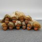 Barbie Doll Head Lot 10 Heads SuperStar Generation Girl Mackie Jazzie Millie