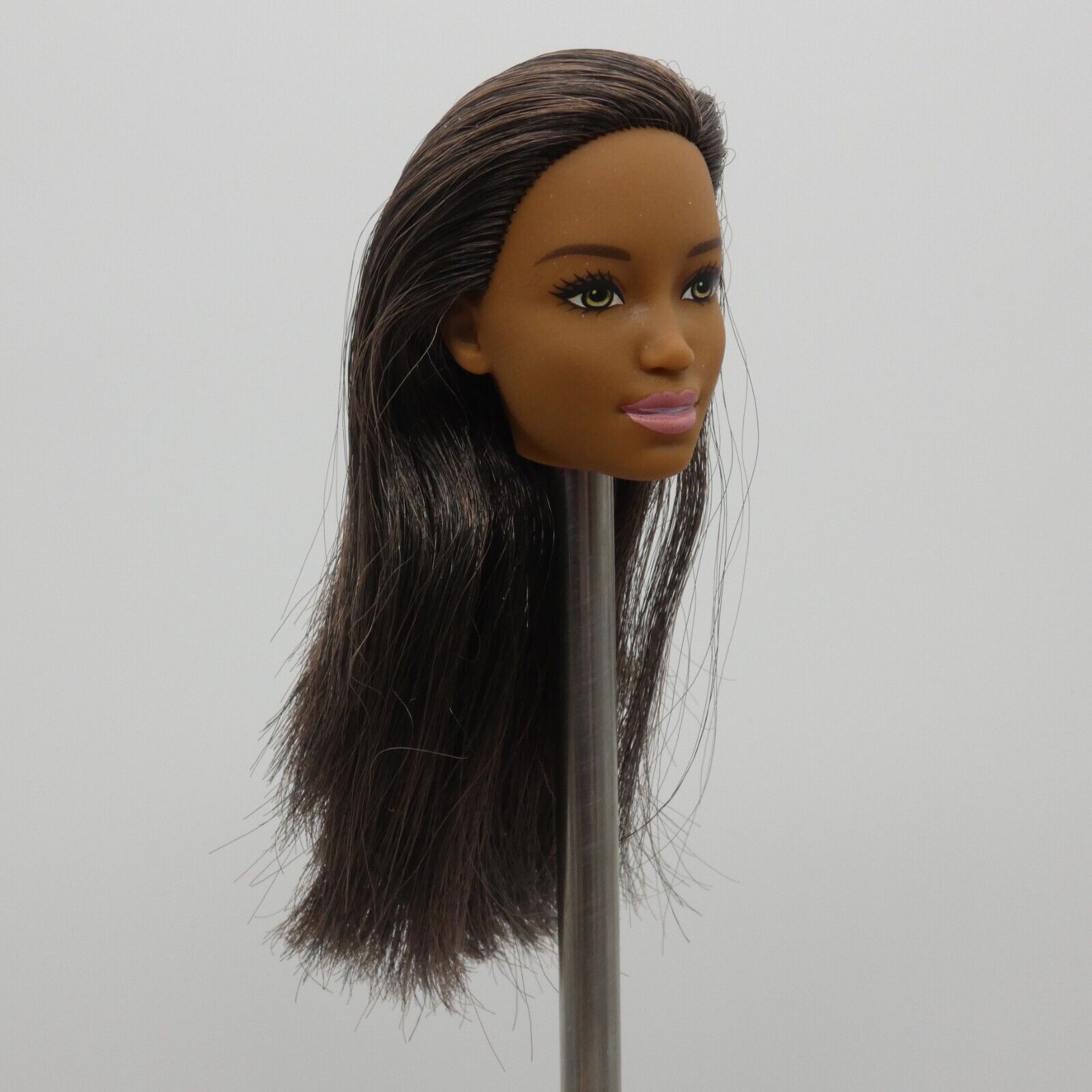 Barbie Sweet Orchard Farm Doll AA Head Kim Face Medium Dark Skin 2019 GFY80