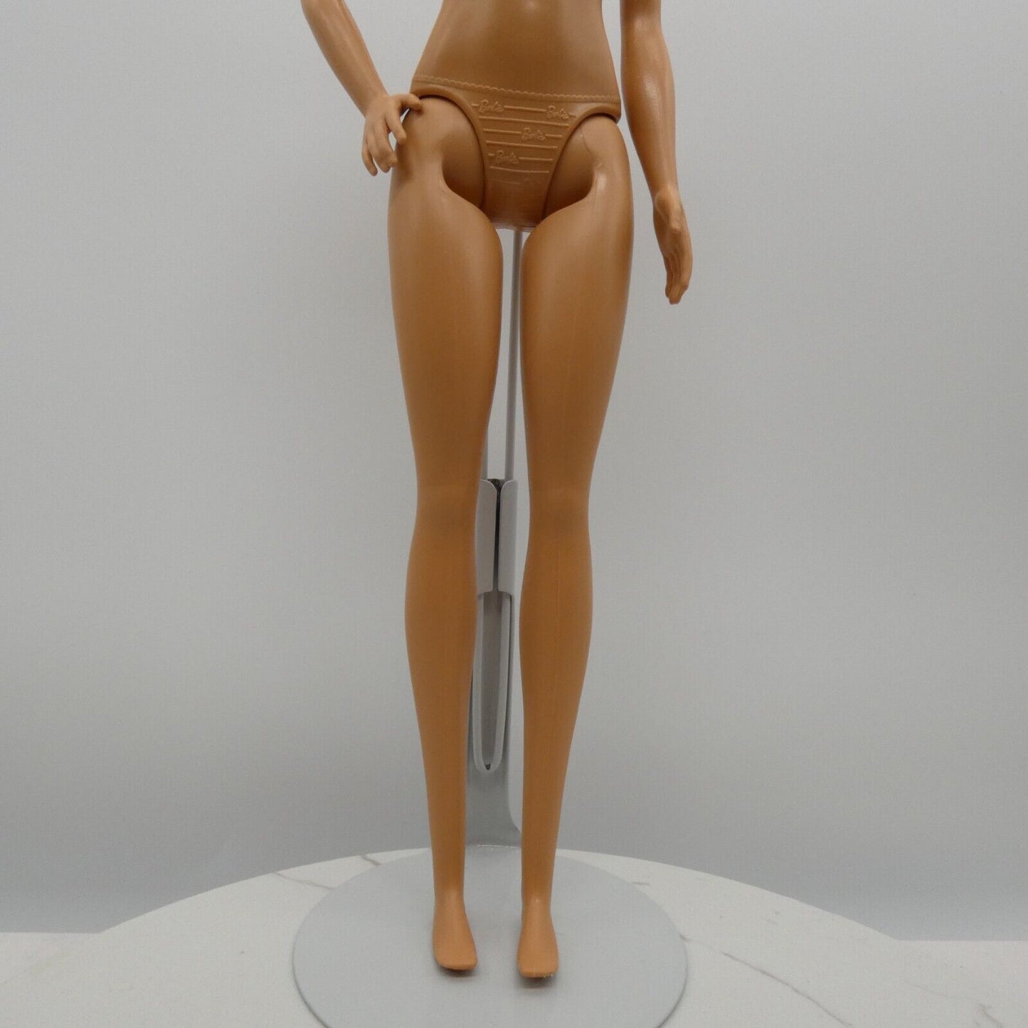 Barbie Fashionistas Doll Body Medium Light Skin 2019 Nat Geo Photographer GDM46