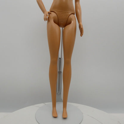 Barbie Fashionistas Doll Body Medium Light Skin 2019 Nat Geo Photographer GDM46