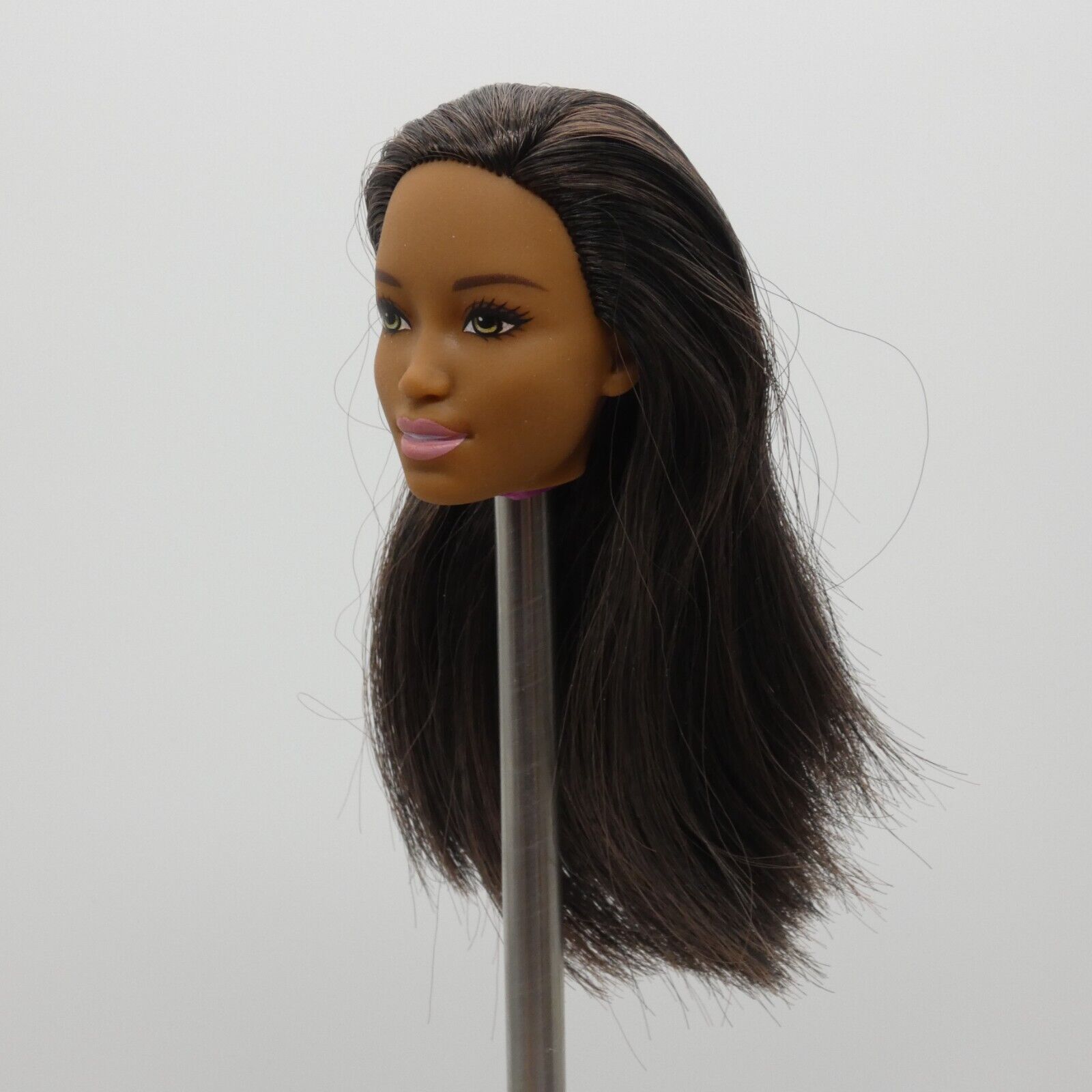 Barbie Sweet Orchard Farm Doll AA Head Kim Face Medium Dark Skin 2019 GFY80