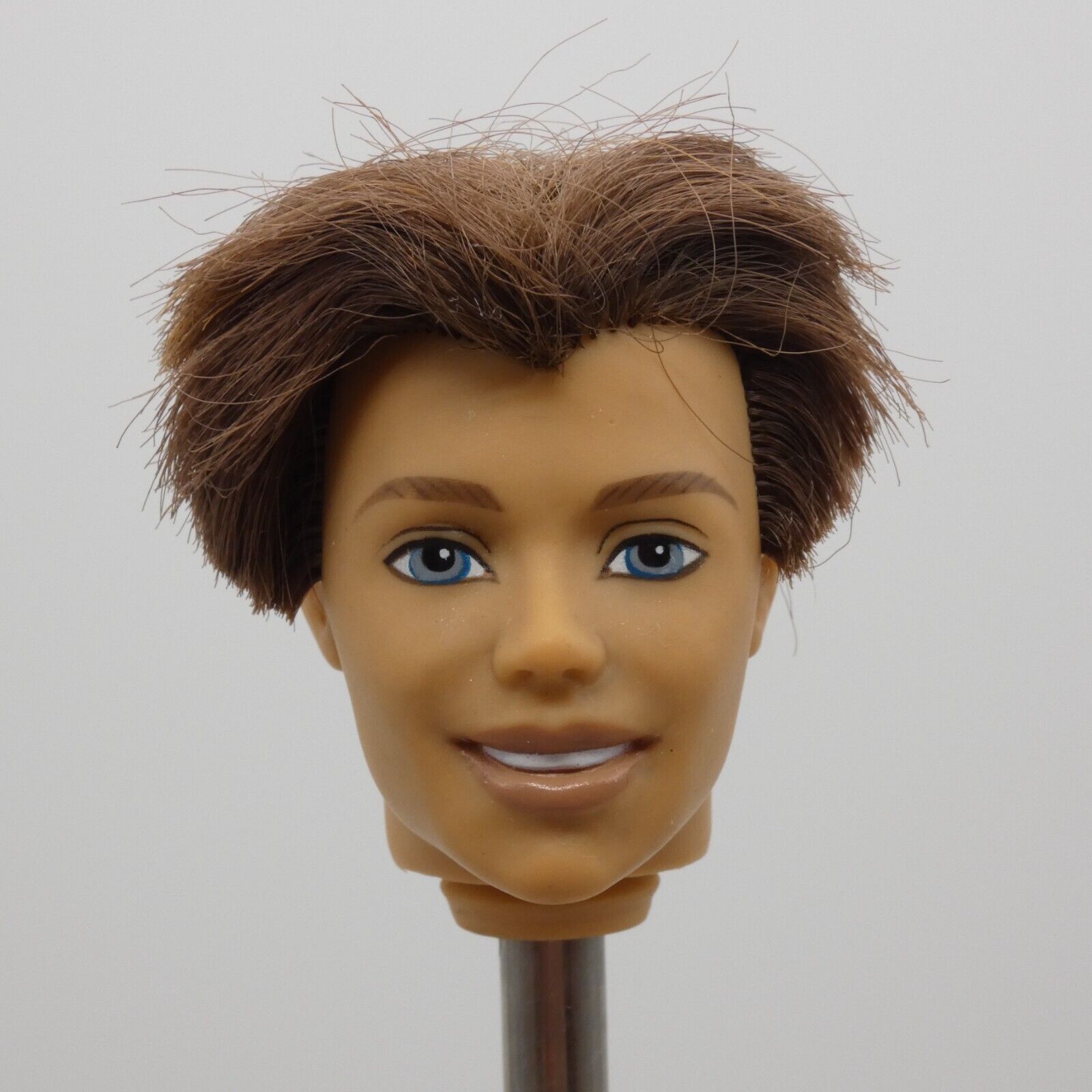 Barbie Magic of Pegasus Prince Aidan Ken Doll Head Rooted Brown Hair G8403 2005