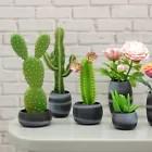 1/6 Scale Doll Set of 8 Flower Vases Succulent Planters Black White For Barbie Integrity Toys FR Bratz 1:6 Diorama