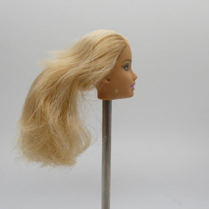 Barbie Beach Glam Doll Head Fashion Fever Glitter Eye Shadow 2007 Mattel K8383