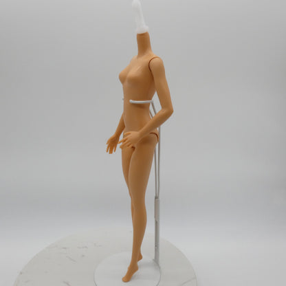 Barbie Doll Fashionistas Body Medium Light Neutra Skin 2018 Mattel FXN96