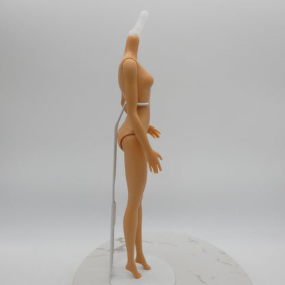 Barbie Doll Fashionistas Body Medium Light Neutra Skin 2018 Mattel FXN96