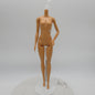 Barbie Doll Fashionistas Body Medium Light Neutra Skin 2018 Mattel FXN96